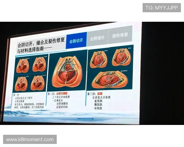 PA国际亚游安全可靠性分析及选择建议全方位指南