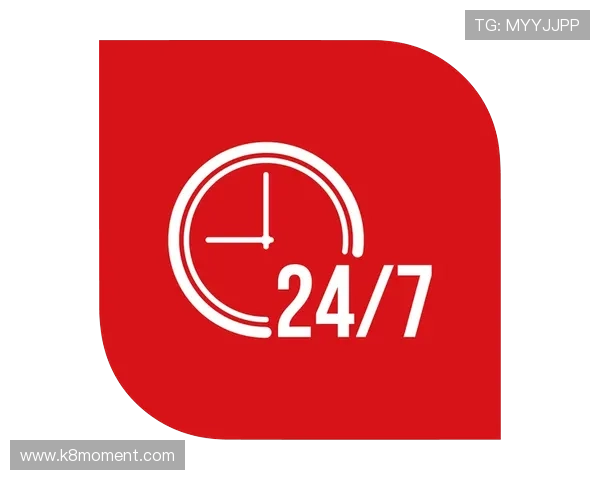 凯发手机登录下载网址官方入口,提供全天候技术支持与服务保障 凯发手机登录下载网址官方入口,提供全天候技术支持与服务保障