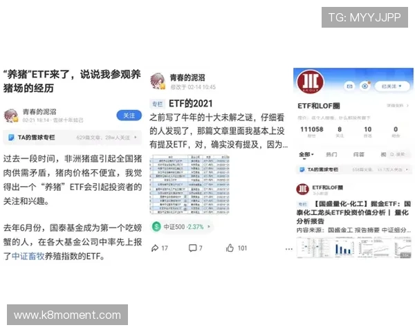 凯发体育客服为玩家提供安全保障措施确保个人信息与资金安全无忧